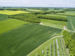 La création du GFA ne concerne que les biens dont le fermier et ses coassociés sont propriétaires et non pas des biens loués.