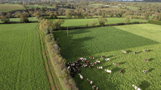 2023 est la dernière année pour laquelle le basculement en régime d'autorisation ou de réimplantation de prairies a été prononcé.