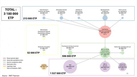 L'emploi dans l'agroalimentaire par maillon