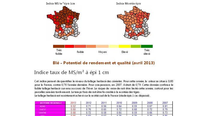 Saison 2013 lancée pour les cartes de modélisation de la qualité et du rendement du blé.