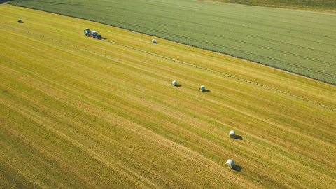 Fertilisation azotée et soufrée des prairies : soyez prêts pour le printemps
