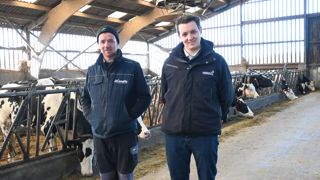 Matthieu et Louis Bossuyt ont fortement revu l’alimentation des laitières avec un gain de production de 43 % sur l’exploitation depuis 2023.