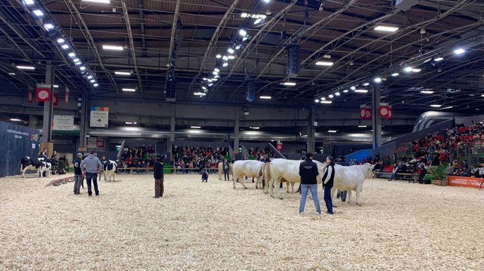 Les agriculteurs sont plutôt favorables à la tenue d'un Salon de l'agriculture sans vaches.