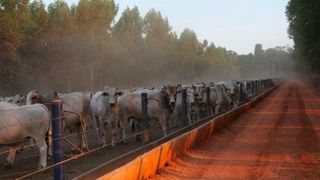 L'accord entre les pays du Mercosur et de l'Union européenne s'apprêtent à signer samedi 17 janvier 2026 au Paraguay.