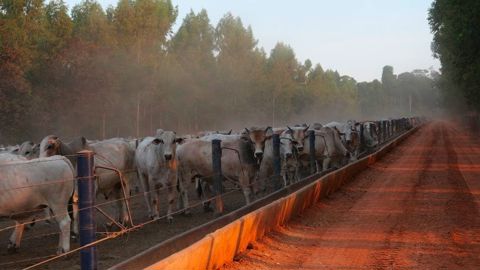L'accord entre les pays du Mercosur et de l'Union européenne s'apprêtent à signer samedi 17 janvier 2026 au Paraguay.