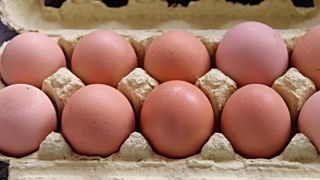 L'interprofession rappelle qu'il est interdit par la loi de construire de nouveaux bâtiments en cage.