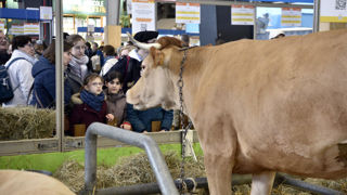 Il n’y aurait « pas de risque à emmener des bovins au Salon » de l’agriculture, a estimé la ministre de l’Agriculture ce dimanche 18 janvier 2026 sur le plateau du « Grand rendez-vous » d'Europe 1/Les Échos/CNews.