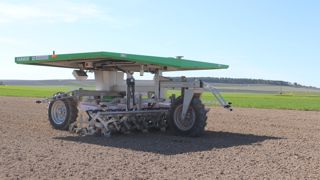 Le robot Farmdroïd assure le semis et le binage sur et entre les rangs de betteraves.