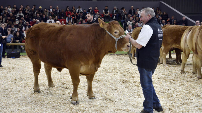 Pas de bovin au Salon de l&rsquo;agriculture, une décision soutenue par les éleveurs