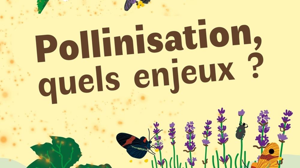 Deux journées de conférences et d’échanges, l’une à Tours-Fondettes, le 5 février, la seconde le 26 février à Dijon, aborderont les enjeux de la pollinisation.