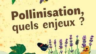 Deux journées de conférences et d’échanges, l’une à Tours-Fondettes, le 5 février, la seconde le 26 février à Dijon, aborderont les enjeux de la pollinisation.