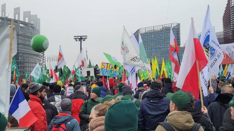 Des milliers d'agriculteurs sont arrivés ce 20 janvier 2026 devant le Parlement européen à Strasbourg, pour protester contre l'accord commercial entre l'Union européenne et les pays du Mercosur.