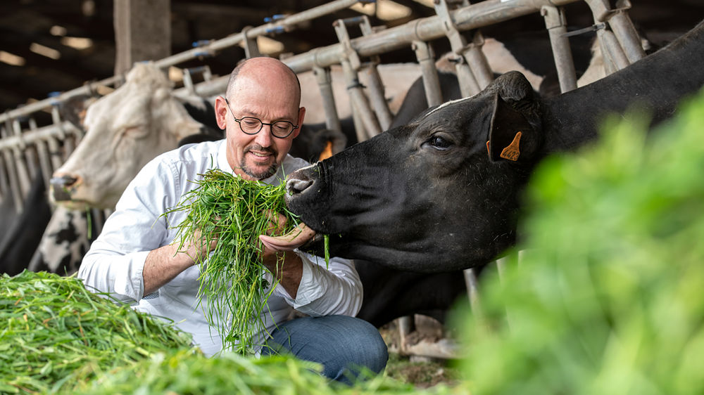Bruno Martel, éleveur laitier breton, adhérent de la coopérative Agrial, est le nouveau président de l'Agence bio, au titre de La Coopération agricole.