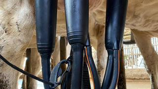 Le kit de rénovation DeLaval Evanza sera commercialisé à partir de février 2026.