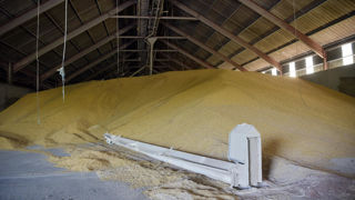 Les stocks élevés de céréales pèsent sur les marchés.