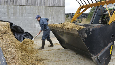 En 2023, 8,4 millions de personnes étaient employées dans le secteur agricole au sein de l'Union européenne.