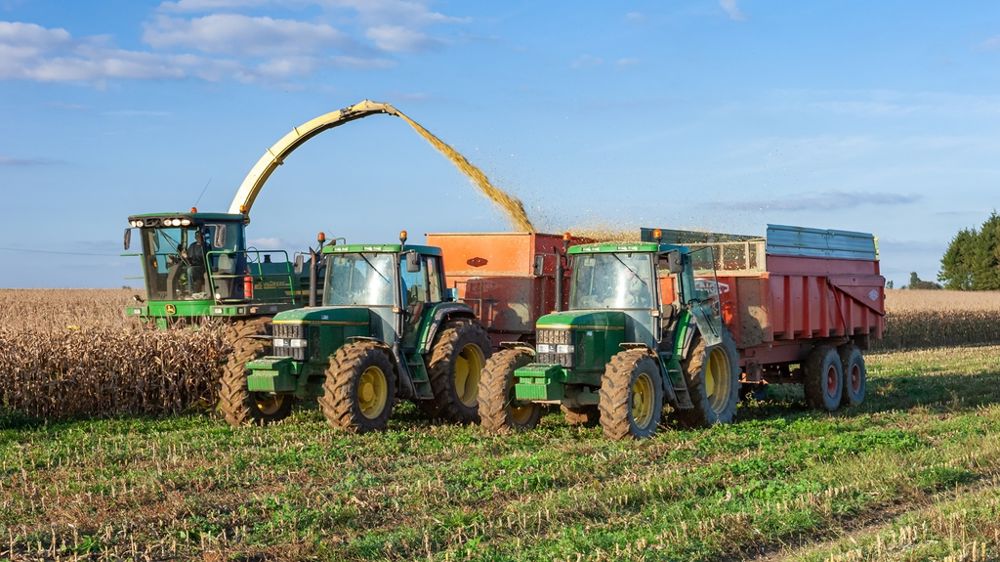 Ensilage d'un champ de maïs. Entraide entre agriculteurs. Mise en commun de matériel agricole