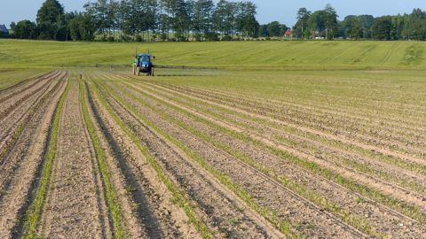 Le projet de loi d'urgence agricole entraine les mêmes clivages que la loi Duplomb.