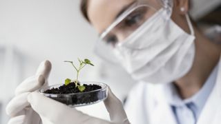 L'Union européenne est en passe d'adopter un règlement autorisant la culture des plantes issues de certaines nouvelles techniques génomiques.