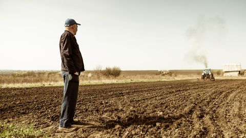 Sur le plan psychique, la santé des agriculteurs de plus de 50 ans est plus mauvaise que dans les autres professions.