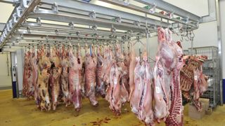 Réseau Action Climat déplore « qu'aucun objectif chiffré » ne figure dans la stratégie pour consommer moins de viande.