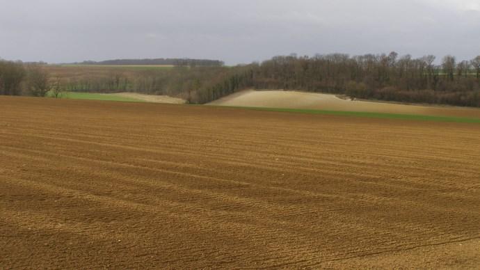 Paysage avec champs