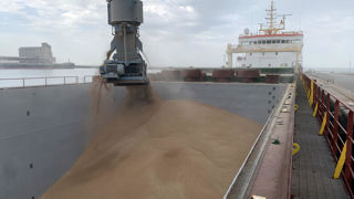Les chargements de blé dans les ports français sont pour le moment à la hauteur pour conserver les parts de marché face à une rude concurrence.