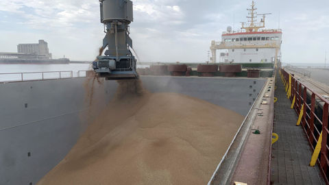 Les chargements de blé dans les ports français sont pour le moment à la hauteur pour conserver les parts de marché face à une rude concurrence.