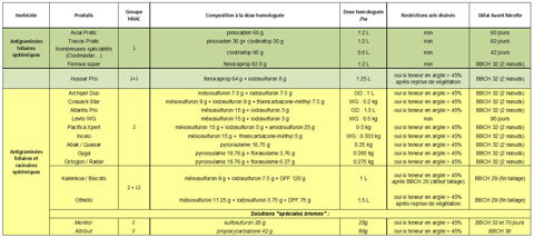 Solutions antigramin&eacute;es de sortie d&rsquo;hiver disponibles sur bl&eacute; tendre
