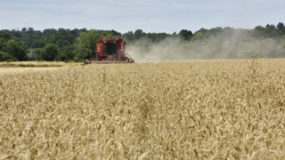 La circulaire de cadrage du fonds d'urgence pour le secteur des grandes cultures prévoit une aide forfaitaire d'un montant maximum de 6 000 euros par exploitation.