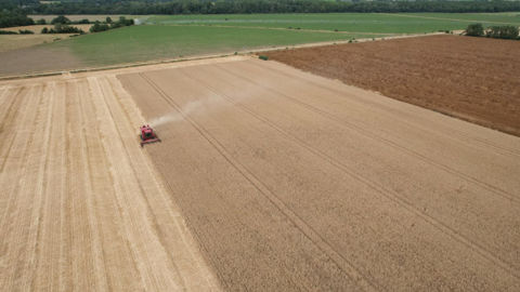 Si la production agricole française a augmenté en valeur de près de 17 % depuis 2019, c'est moins que l'augmentation moyenne dans les 27 pays de l'Union européenne.