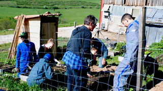 En Auvergne-Rhône-Alpes, le réseau Astra accompagne les agriculteurs qui souhaitent se diversifier dans l’accueil social et thérapeutique.