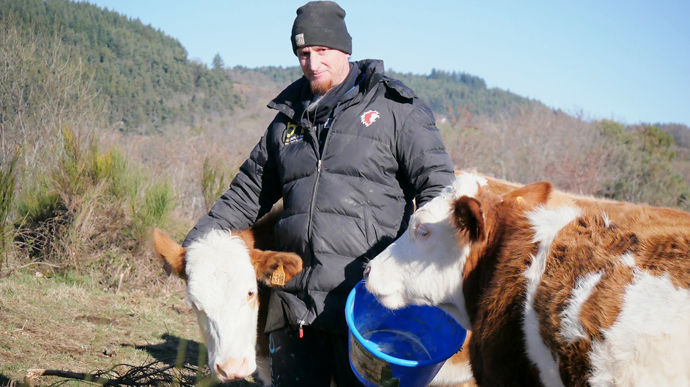 Aurélien Roux avec ses génisses laitières en pâturage intégral. En ce début de janvier, les vaches profitent des repousses d’automne sur les prairies naturelles de fauche exposées plein sud.