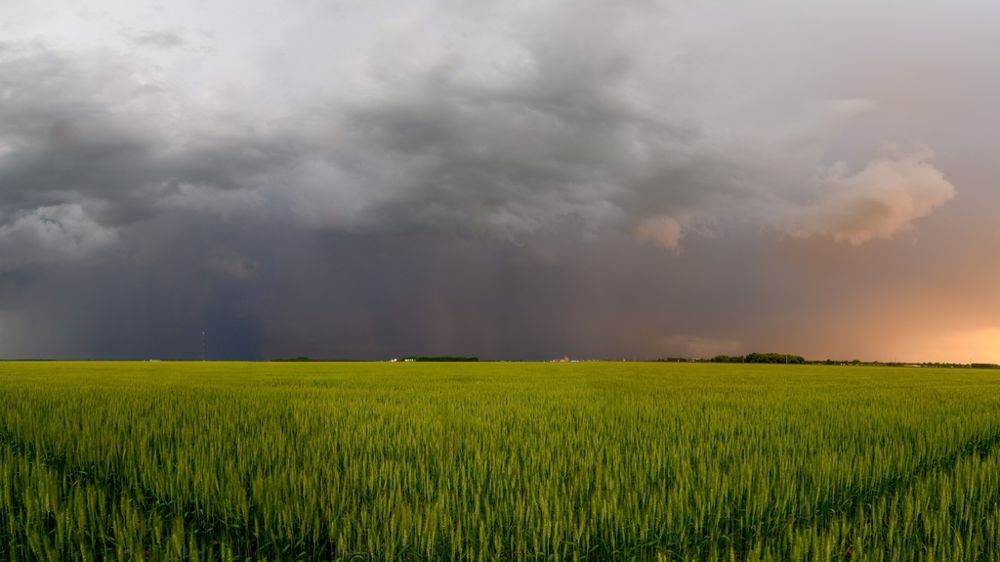 Ciel nuageux sur champ de blé