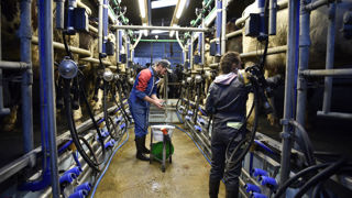 Le 31 décembre 2026 sonne la fin du statut de conjoint collaborateur pour une partie d’entre eux.