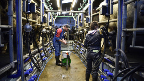 Le 31 décembre 2026 sonne la fin du statut de conjoint collaborateur pour une partie d’entre eux.