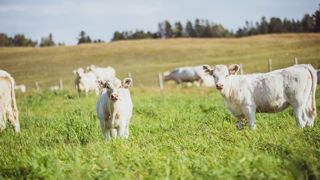 L'accord de l'Espagne ne pourra entrer en vigueur qu'à partir du 10 mars.