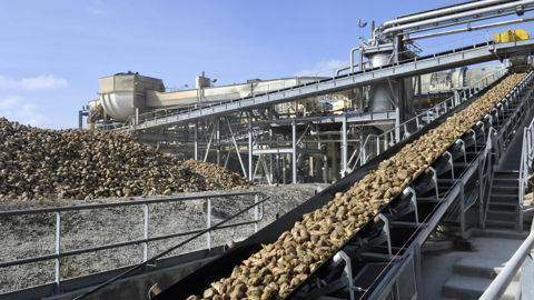 Selon la Collective du bioéthanol, la consommation française globale de bioéthanol en 2025 a progressé de 15 % par rapport à 2024.