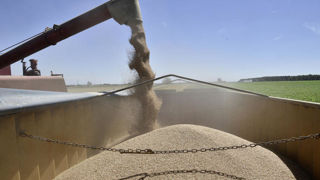 Plusieurs facteurs expliquent la dégradation de la balance commerciale agricole et agroalimentaire française pour 2025, notamment les mauvaises récoltes de 2024 qui ont pesé sur les exportations.