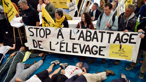 Depuis le début de la crise de la DNC, la Confédération paysanne réprouve la stratégie d'abattage total du troupeau à la suite de la détection d'un cas. (photo d'illustration, manifestation de la Confédération paysanne au Space 2025)