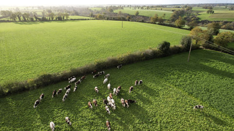 Le ministère de l'Agriculture a décidé de fermer à la souscription certaines mesures agro-environnementales et climatiques.