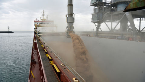 Des problèmes de qualité sur le blé argentin pourraient être à l'origine du retour du blé hexagonal vers l'Algérie.