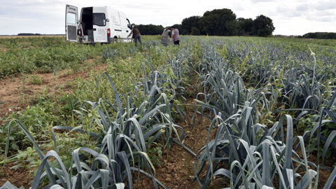 En novembre 2025, la concurrence européenne s’est intensifiée entraînant une chute des prix de 12 % sur un an.