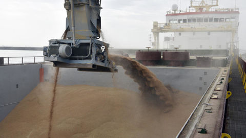 Les stocks de blé restent importants chez les grands exportateurs de blé, et l'Inde pourrait elle aussi venir alimenter le marché mondial.