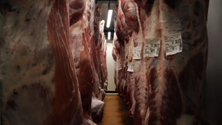 La députée du groupe Les Écologistes, Marie Pochon, a interpelé le ministère de l'Agriculture sur l'urgence de la crise des abattoirs, tant pour ce maillon que pour les autres filières d'élevage.