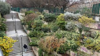 L’enquête RSF doit aider Valhor à identifier les enjeux prioritaires de la filière, qu’ils soient environnementaux, sociaux ou économiques.