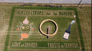 Les agriculteurs de la Manche sont arrivés vainqueurs avec leur fresque réalisée pour le Tour de France.