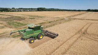 La semaine est marquée par un rebond des prix du blé, tant sur le marché européen qu’américain.