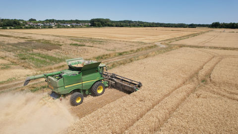 La semaine est marquée par un rebond des prix du blé, tant sur le marché européen qu’américain.