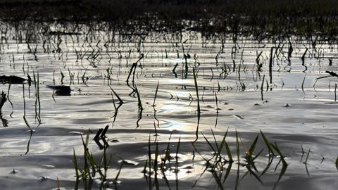 La situation globale des nappes phréatiques s’améliore, avec 47 % des points d’observation au-dessus des normales mensuelles, a partagé le BRGM le 15 février.